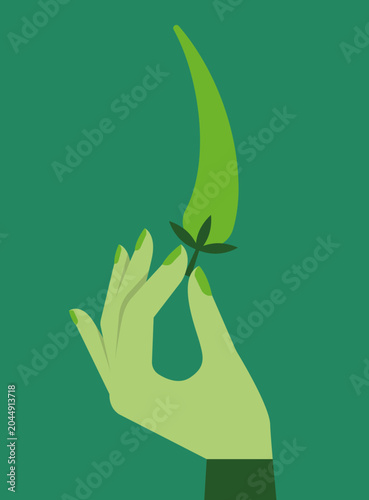Hand Holding Green Chili Pepper, Spicy Hot Food