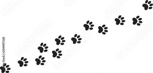 Photography footpath trail of animal fox paws fox paws walking
