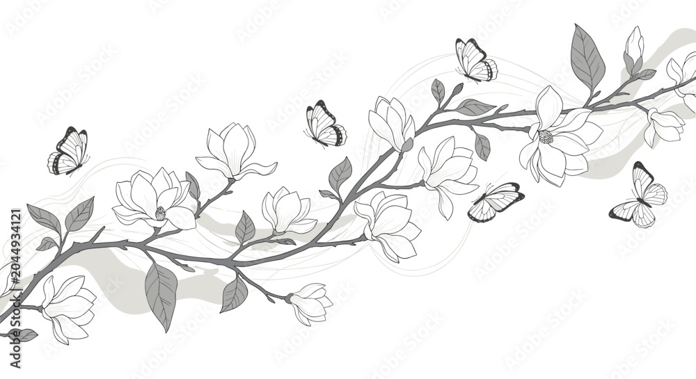 Fototapeta premium Graceful hand drawn sketch of a blooming magnolia branch with delicate flowers and several butterflies in flight.