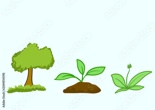 Vibrant Green Plants Representing Growth and Eco friendly Power