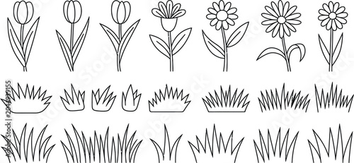 Tableau sur toile flower botanical silhouettes and lineart tulip daisy grass vectors