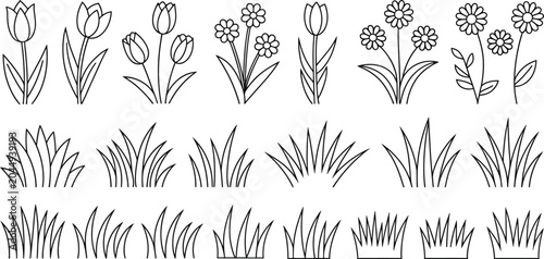 Photos flower botanical vector pack tulip daisy grass outline illustrations