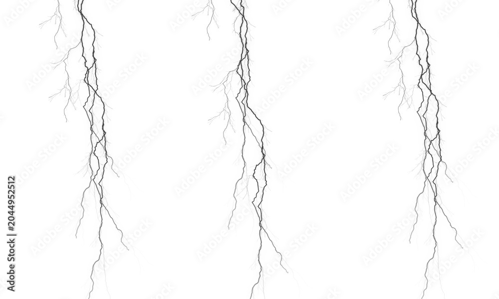 Fototapeta premium Grey roots hanging down, isolated on white background