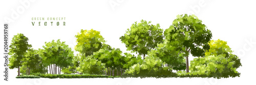  Vector watercolor green tree or forest side view isolated on white background for landscape and architecture drawing,elements for environment or and garden,green tree for garden section 