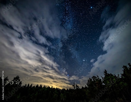 Starry Night Sky with Milky Way Framed by Clouds Above Dark Forest