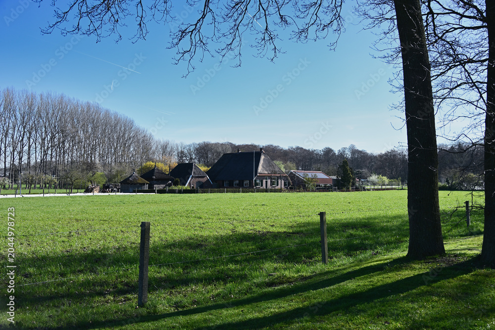 Obraz premium Scenic panoramic view of a traditional Dutch farmhouse across green pastures under a blue spring sky along the Hanzestedenpad