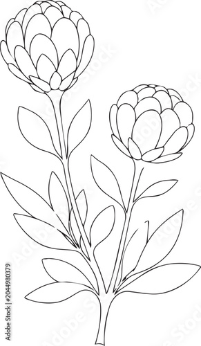 Two elegant artichoke flowers with green leaves illustration