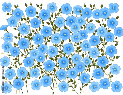 A vibrant floral arrangement of numerous small blue flowers with yellow centers and green leaves on white background