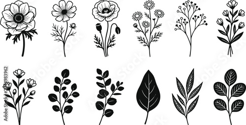 Foto Hand drawn minimalist black and white botanical wildflower bouquets wildflowers