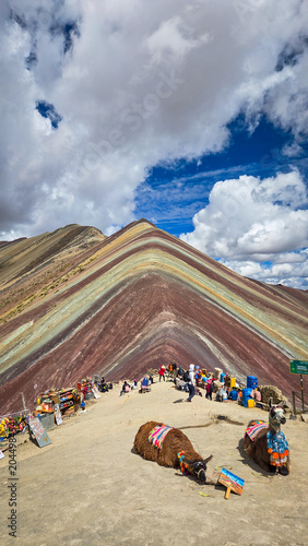 Vinicunca Rainbow Mountain with llamas in Cusco Peru