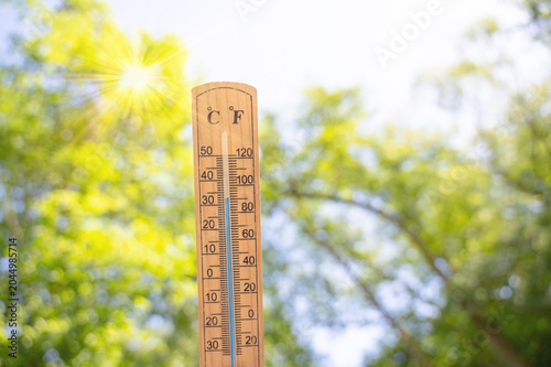 Thermometer, sunny hot day in summer, heatwave, weather forecast in summertime, measure the temperature, trees in forest