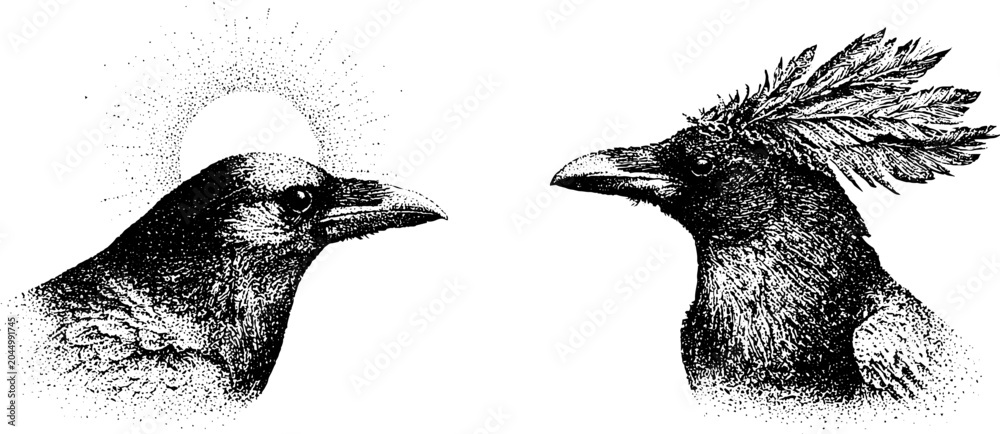 Obraz premium Two raven heads facing each other in minimalist layout