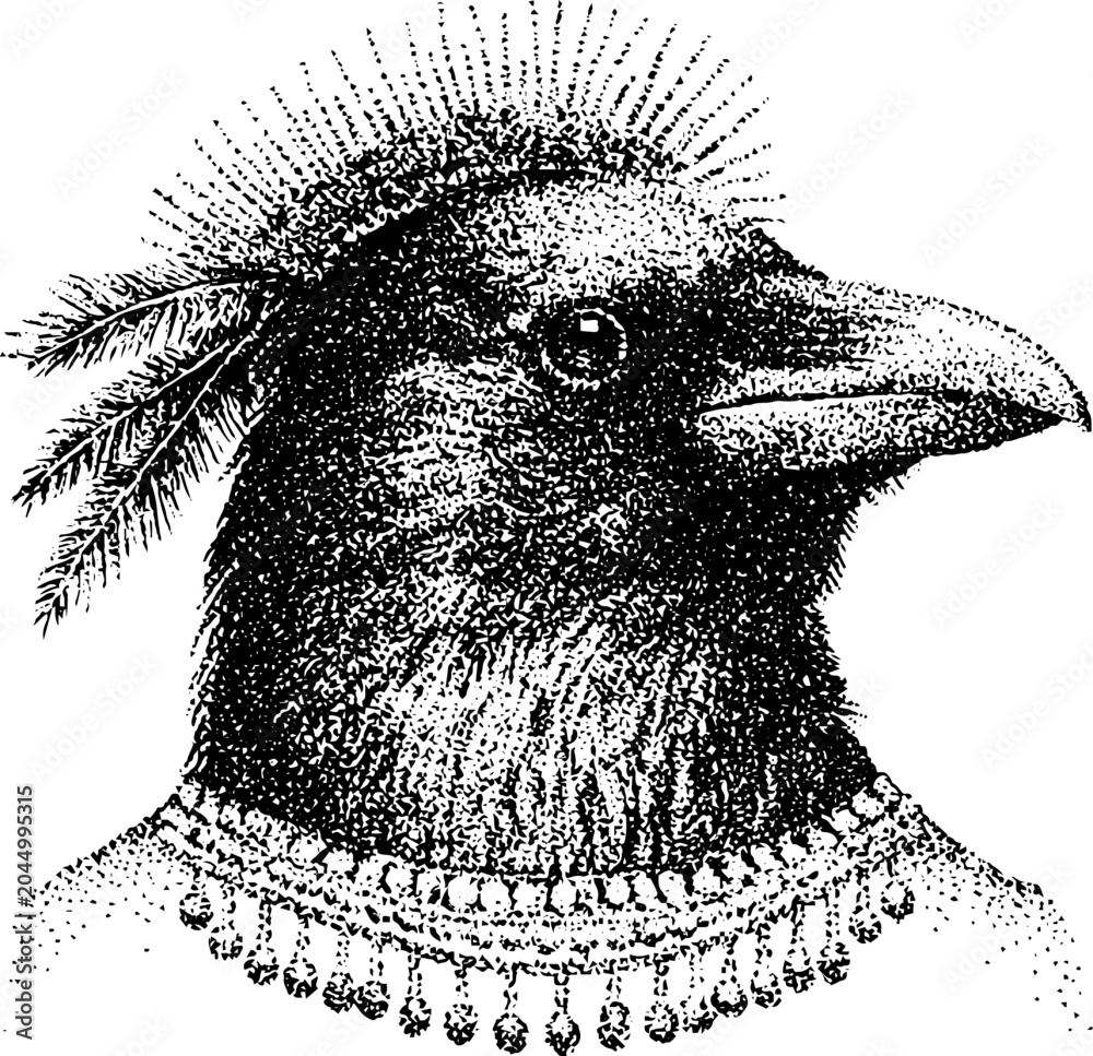Fototapeta premium Crow head wearing beaded necklace in white background