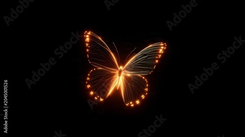 Glowing Butterfly Animation on Black Background.