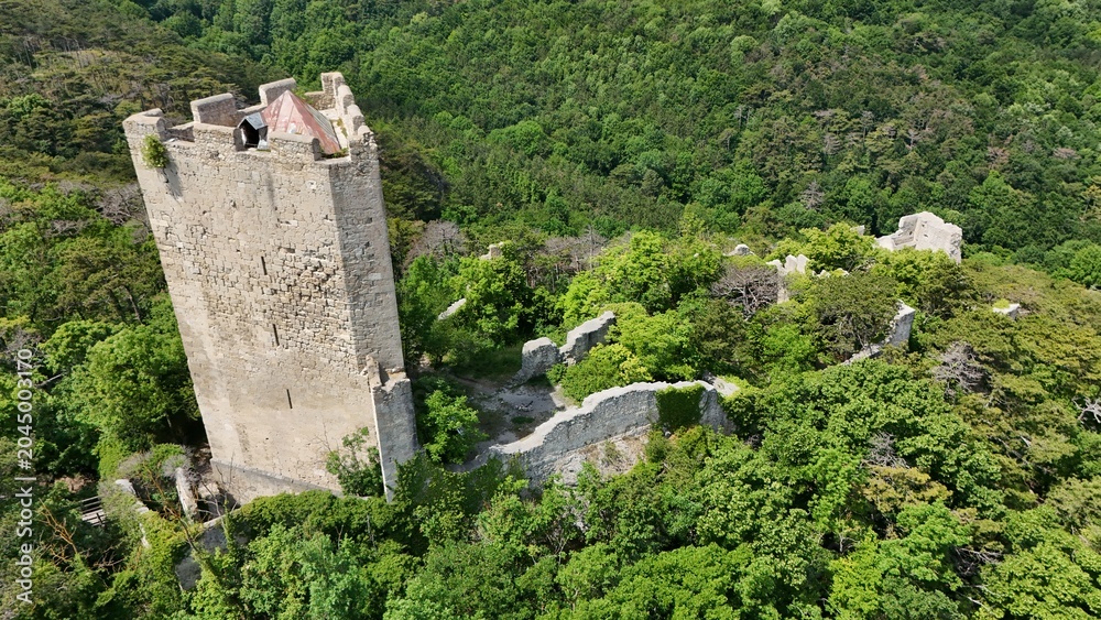 Fototapeta premium historische Mauern im Wienerwald 