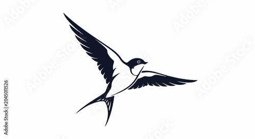 Silhouette of a swift bird in flight, dark blue, white background
