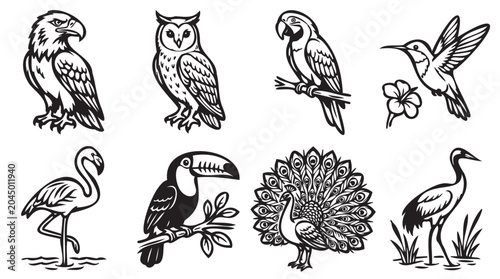Tropical Bird Icons, Exotic Avian Illustrations, Black and White Vector Birds, Wildlife Graphics