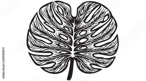 Monstera leaf, black and white illustration, tropical plant, decorative foliage