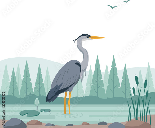 Tableau sur toile Isolated on Grey heron standing in shallow river water within serene forest land