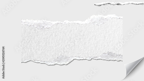 Photos The paper has a realistic, fibrous texture, with visible fibers and slight imperfections that enhance its tactile quality