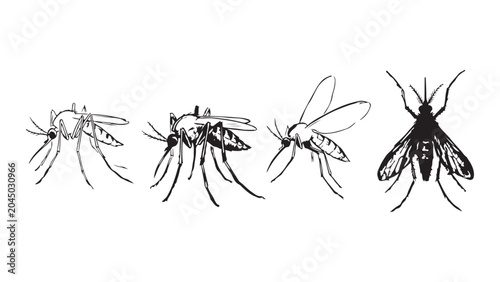 Tableau sur toile Mosquito Pest Insect Drawing Collection Vector