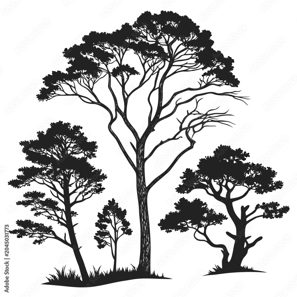 Obraz premium Collection of black tree silhouettes in ink style on white background with silhouette woodland illustration landscape isolated environment