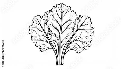 Detailed engraving of a single kale leaf vegetable sketch.