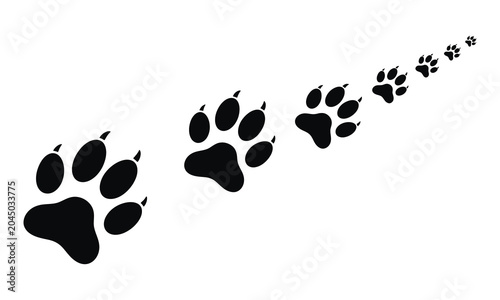 Photography Black paw prints silhouette trail animal footsteps vector illustration