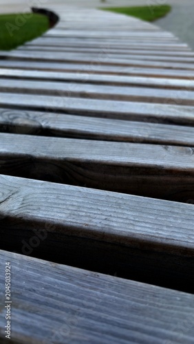 Close-up view of fresh green grass growing between wooden bench slats in a natural outdoor environment. Creative low-angle perspective with selective focus and natural lighting. Ideal for landscaping,