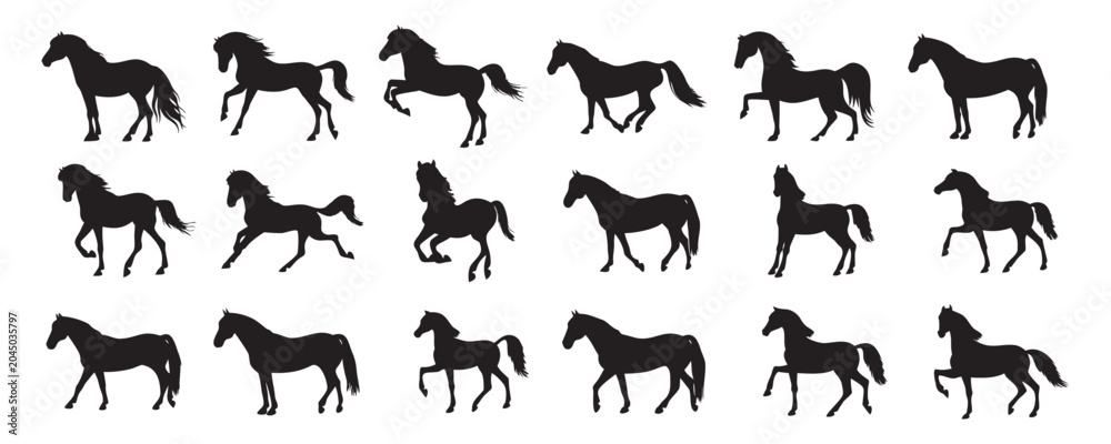 Obraz premium horse silhouettes, running horse silhouette vector set