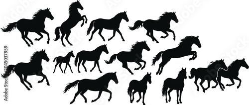 Obraz na płótnie Collection of black horse silhouettes in various dynamic poses on a white backgr