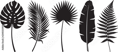 Set of tropical leaves silhouettes