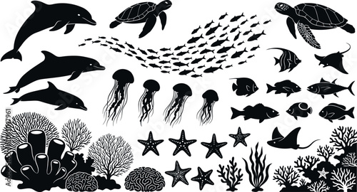 Photography Black silhouettes of various ocean animals and plants on white background