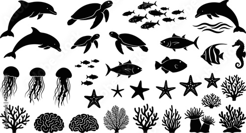 Photography Black silhouettes of various ocean animals and plants on white background
