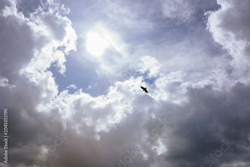 Bird flying in dramatic cloudy sky with sun flare