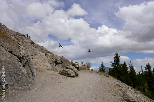 Banff mountain trail landscape with flying ravens Canada