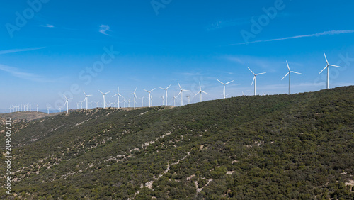 Quadro em tela Large-scale onshore wind farm with rows of white wind turbines lining a forested