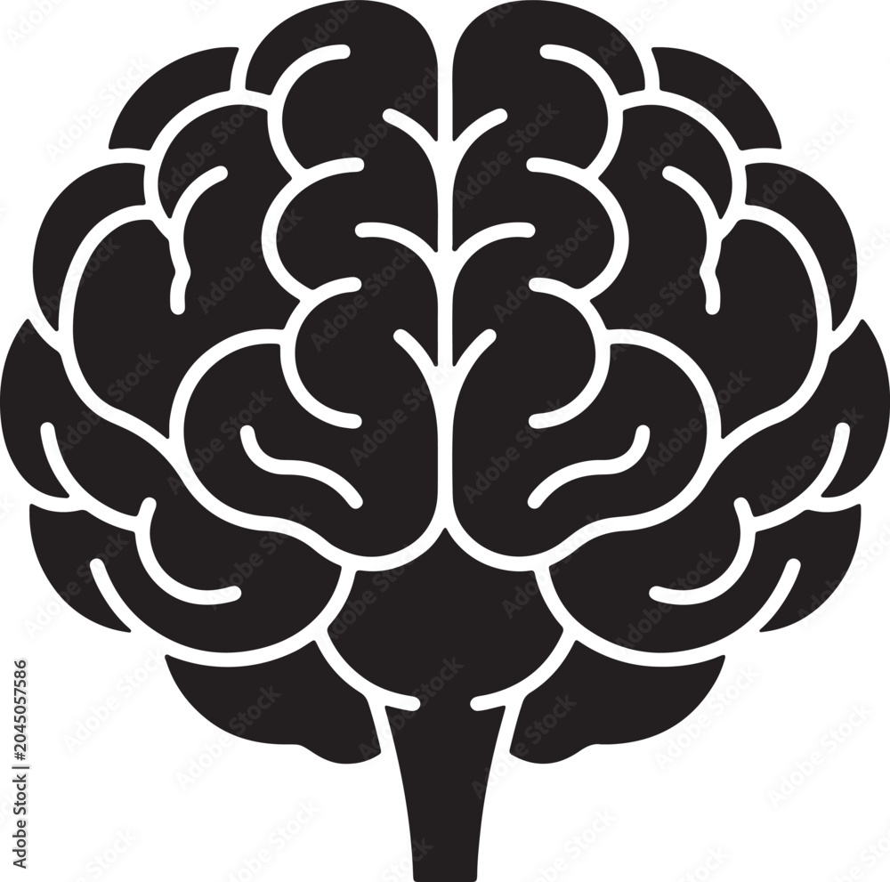 Fototapeta premium Detailed black silhouette of a human brain showing two hemispheres and intricate folds, isolated on a white background, also transparent background