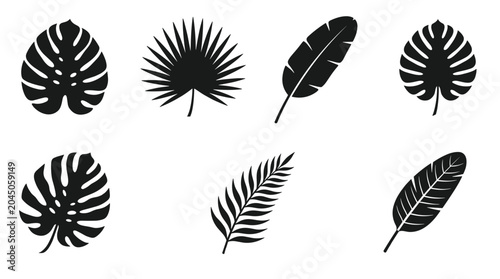 Collection of tropical plant leaves silhouettes isolated on white background