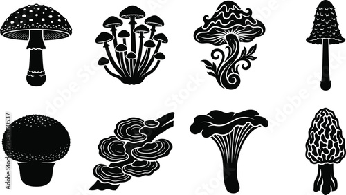 Quadro su tela Mushroom silhouettes fungi species puffball morel shelf trumpet curly spotted ca