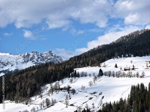 Winter in the Austrian Alps