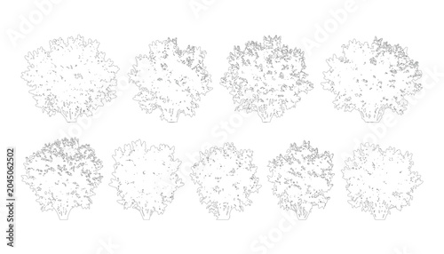 Billede på lærred Group of transparent vector bushes in elevation view for architectural drawings and landscape plans