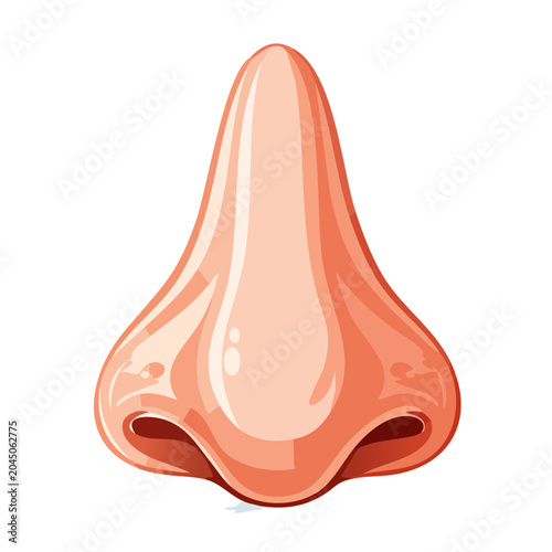 Close-up illustration of a human nose on white background
