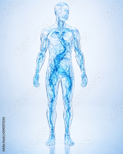 A 3D transparent blue human figure shows veins and anatomy on a light background.