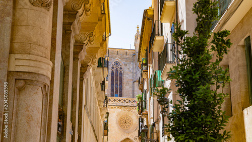 Palma de Mallorca by the Sea, Light and Stone Mediterranean Soul