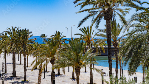 Palma de Mallorca by the Sea, Light and Stone Mediterranean Soul