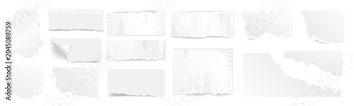 Various torn paper pieces with rough edges in different shapes and sizes. Blank notebook sheets and lined scraps on transparent background.