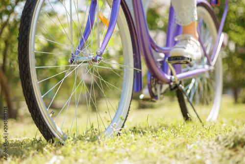 Fotografía Bicycle Rental for Active Travel in a Scenic Park Setting