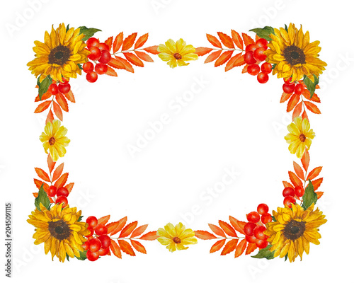 Watercolor autumn frame with sunflowers and rowan berries isolated on white background