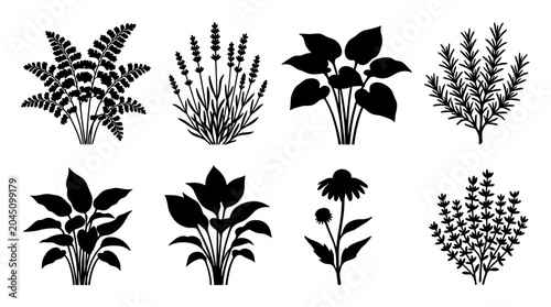 Collection of Black Silhouette Garden Plants and Flowers Vector Icons